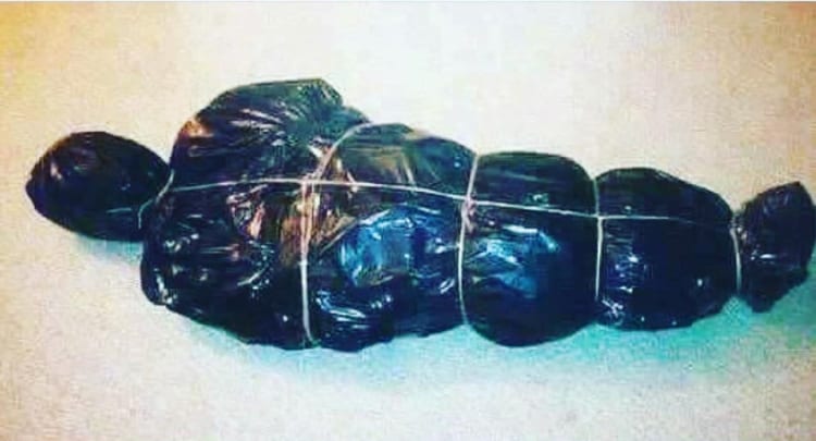 オランダ警察のクリスマスツリー廃棄に関する注意喚起がヤバすぎる・・・！