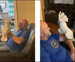 まるで関西人のオバちゃん！？おしゃべりなオウムのトーク力が凄い