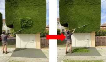 見るだけですっきり！職人による生垣トリミング映像に癒される