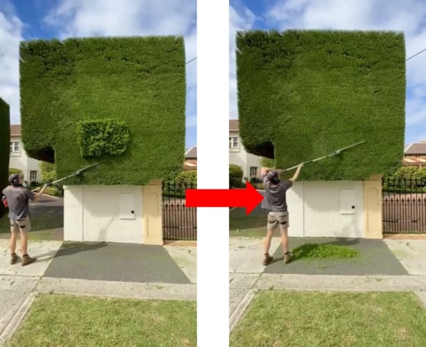 見るだけですっきり！職人による生垣トリミング映像に癒される