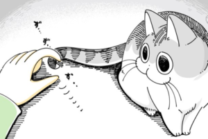 【漫画】これわかるわぁ！猫の体に巻き付くしっぽを真っ直ぐにしたい話に共感の声