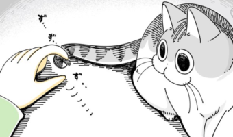 【漫画】これわかるわぁ!猫の体に巻き付くしっぽを真っ直ぐにしたい話に共感の声