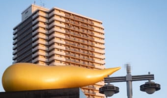 【奇跡の一枚】偶然って凄い(笑) 浅草で巨大な“金色のフン”をする鳥が目撃され話題に!