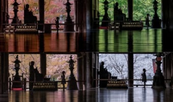 父親が5年かけて撮った寺の春夏秋冬と娘の写真が素敵と話題!「感動しました」「美しい光景」