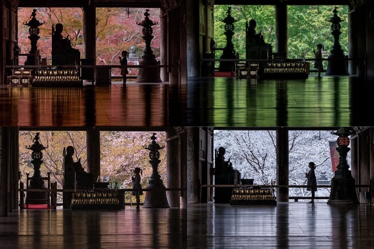 父親が5年かけて撮った寺の春夏秋冬と娘の写真が素敵と話題！「感動しました」「美しい光景」