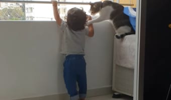 「僕が弟を守るニャ！」バルコニーの手すりに掴まろうとする赤ちゃんを全力で制止するニャンコ！