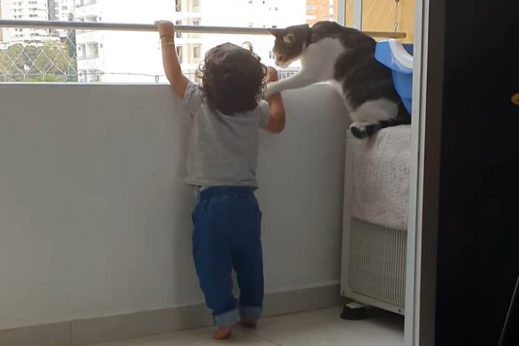 「僕が弟を守るニャ！」バルコニーの手すりに掴まろうとする赤ちゃんを全力で制止するニャンコ！