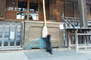 「神様、お願いしますニャ」神社へ初詣に来ていた珍しい参拝客の姿がTwitterで話題に！