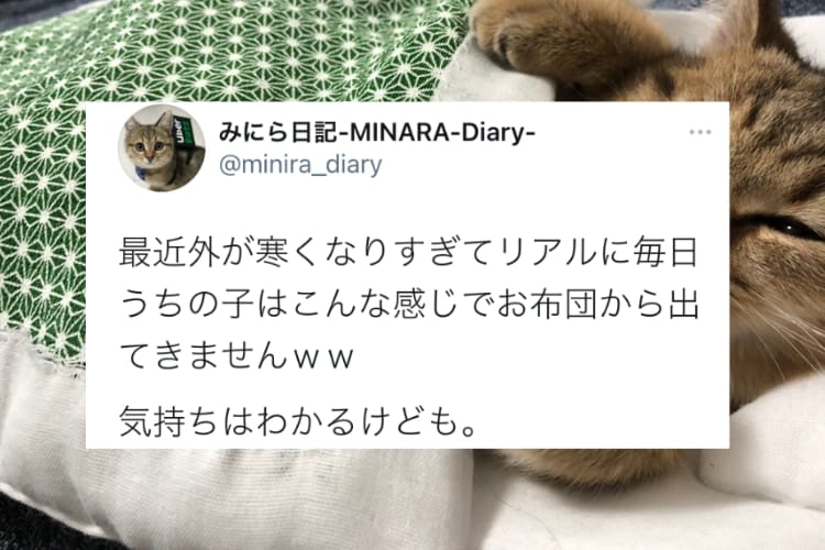 「もう少しだけお願いニャ･･･」寒くて布団から出ようとしないニャンコが可愛すぎる！