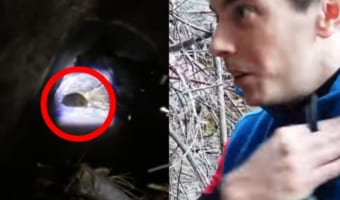 ヘタすりゃ死ぬ!!ハイキング中に見つけた洞窟に入って発見したものとは!?皆さんは真似しないでください