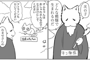 ネコ神様「どんな模様で生まれるのだ？」飼い主が愛猫の模様について妄想する漫画に癒される