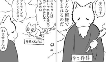ネコ神様「どんな模様で生まれるのだ?」飼い主が愛猫の模様について妄想する漫画に癒される