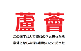【蘆薈】こんな字、読めないし書けないよ！と思ったら、実はよく知るあの植物のことだった！