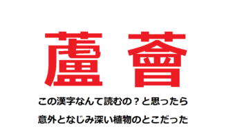 【蘆薈】こんな字、読めないし書けないよ!と思ったら、実はよく知るあの植物のことだった!