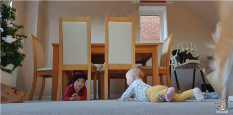 「ママ見て！見て！」甘えん坊ワンコのアピールにママたち思わず爆笑！