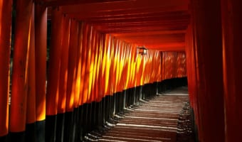 「初午」という時期はいつ?何をしたらいい日なの?初午について解説していきます!