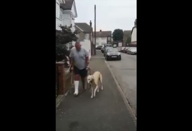 異常もないのに足を引きずりながら飼い主と一緒に歩くワンコ･･･その理由に感動！