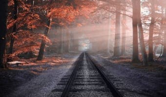 秋のはじめを指す「桐一葉」、もう一つの隠された意味が深い!