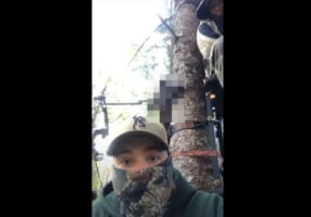 【恐怖映像】とある大きな動物が猛烈なスピードで木を登って来て、絶対絶命のピンチに！