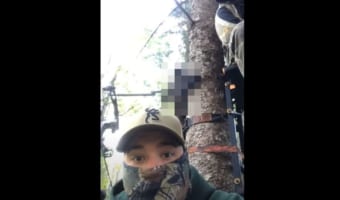 【恐怖映像】とある大きな動物が猛烈なスピードで木を登って来て、絶対絶命のピンチに!