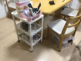 2段ベッド！？リビングのテーブルにサイドワゴンを置いたら、早速入居者が！(笑)