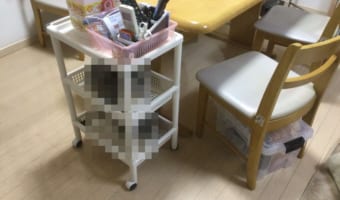 2段ベッド！？リビングのテーブルにサイドワゴンを置いたら、早速入居者が！(笑)