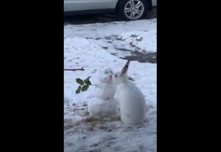 ウサギが雪だるまにキス？なんてメルヘンチックな世界･･･と思いきや、そうではなかった(笑)