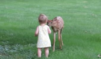 リアルディズニーの世界?赤ちゃんと小鹿の素敵な世界に癒される♪