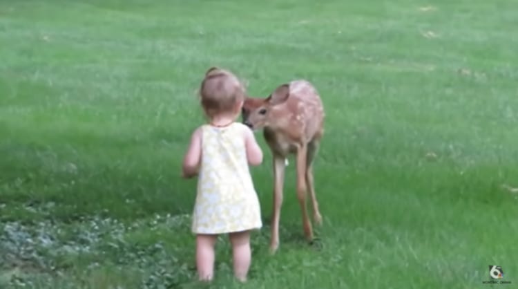 リアルディズニーの世界？赤ちゃんと小鹿の素敵な世界に癒される♪