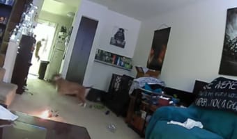 あわや大惨事!ペットがおもちゃで遊んでいたら誤って出火!