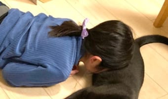 家の中が突然静かになったと思ったら・・・禁断の行為「猫吸い」にハマってしまった娘を目撃!