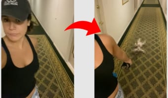 お散歩拒否！頑固なフレンチブルの抗議行動が可愛すぎる