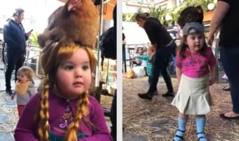 なんでそうなった!?ニワトリを頭に乗せるのが好きな女の子が可愛い!