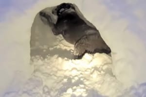 「穴掘りは得意だワン♪」かまくら作りを張り切ってお手伝いするワンコが超優秀だった！