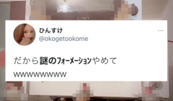 五車星？特戦隊？文鳥戦隊参上！？飼い主を待ち構える文鳥のフォーメーションが完璧すぎて笑う！