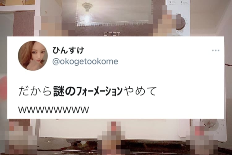 五車星？特戦隊？文鳥戦隊参上！？飼い主を待ち構える文鳥のフォーメーションが完璧すぎて笑う！