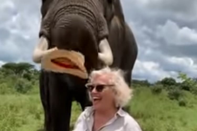 ゾウに帽子を食べられた！と思ったら･･･お茶目で利口なゾウの行動にみんなビックリ！