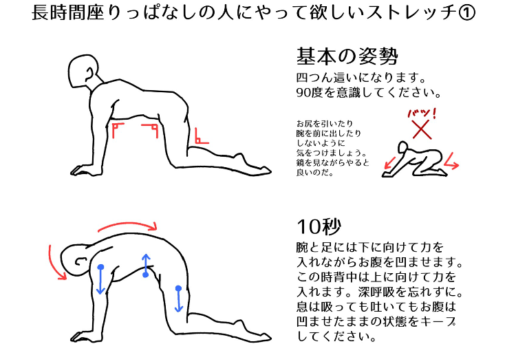 目指せ健康デスクワーク！長時間座りっぱなしの人におすすめのストレッチをご紹介