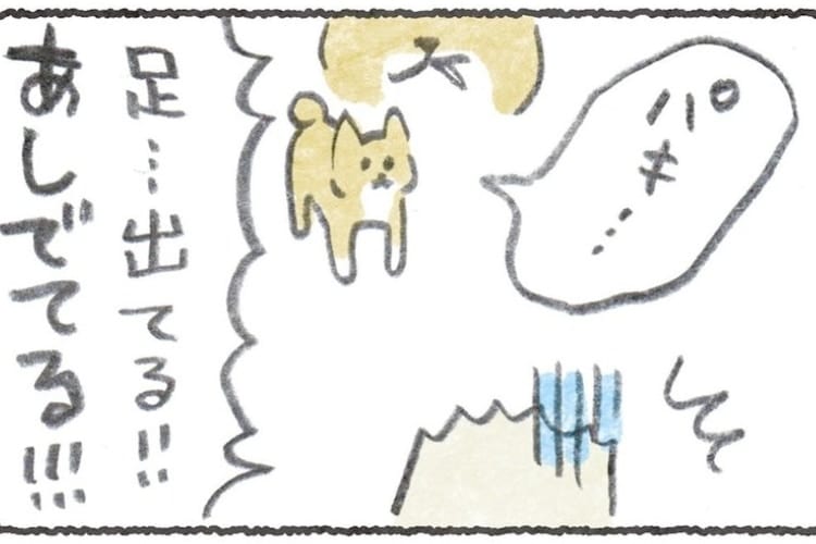 【漫画】えっ、口からポリって聞こえた！？愛犬の横でGを殺したら恐怖した話のオチに笑った