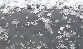 雪が結晶のまま降ってきた!北ドイツで撮影された写真に「幻想的」「美しい冬の一枚」の声