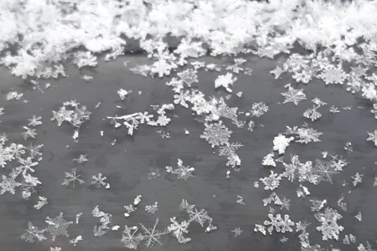 雪が結晶のまま降ってきた！北ドイツで撮影された写真に「幻想的」「美しい冬の一枚」の声