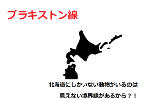 【ブラキストン線】北海道にしか生息しない動物が豊富なのは、見えない境界線があるから？！