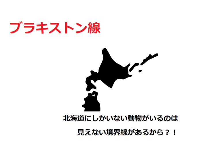 【ブラキストン線】北海道にしか生息しない動物が豊富なのは、見えない境界線があるから？！