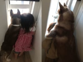 妹がお姉ちゃんの背を軽々超しちゃった！成長が分かるとっても素敵な写真が尊い！