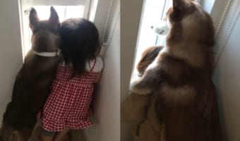 妹がお姉ちゃんの背を軽々超しちゃった！成長が分かるとっても素敵な写真が尊い！