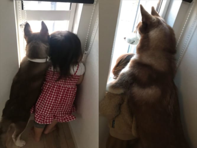 妹がお姉ちゃんの背を軽々超しちゃった！成長が分かるとっても素敵な写真が尊い！