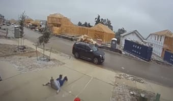 これは痛い！解氷剤を撒いて溶け具合を確かめてたら顔面強打！