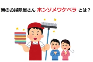 海のお掃除屋さん「ホンソメワケベラ」って何者？何を掃除してくれるの？