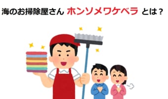 海のお掃除屋さん「ホンソメワケベラ」って何者?何を掃除してくれるの?