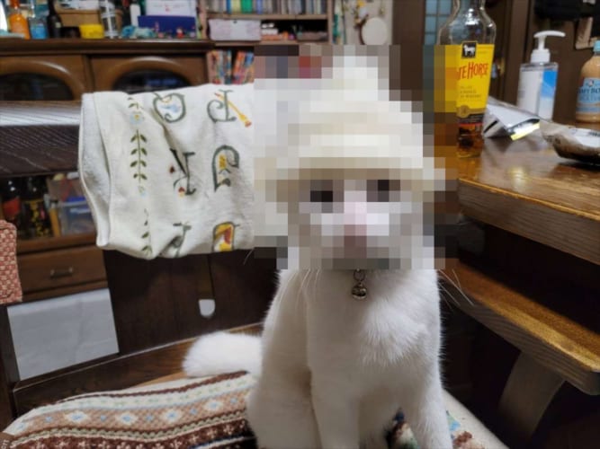 「孫に帽子編んだけど小さすぎた」とコメントを添え、送られてきた写真が面白すぎた(笑)